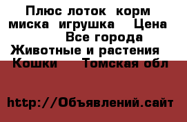 Плюс лоток, корм, миска, игрушка. › Цена ­ 50 - Все города Животные и растения » Кошки   . Томская обл.